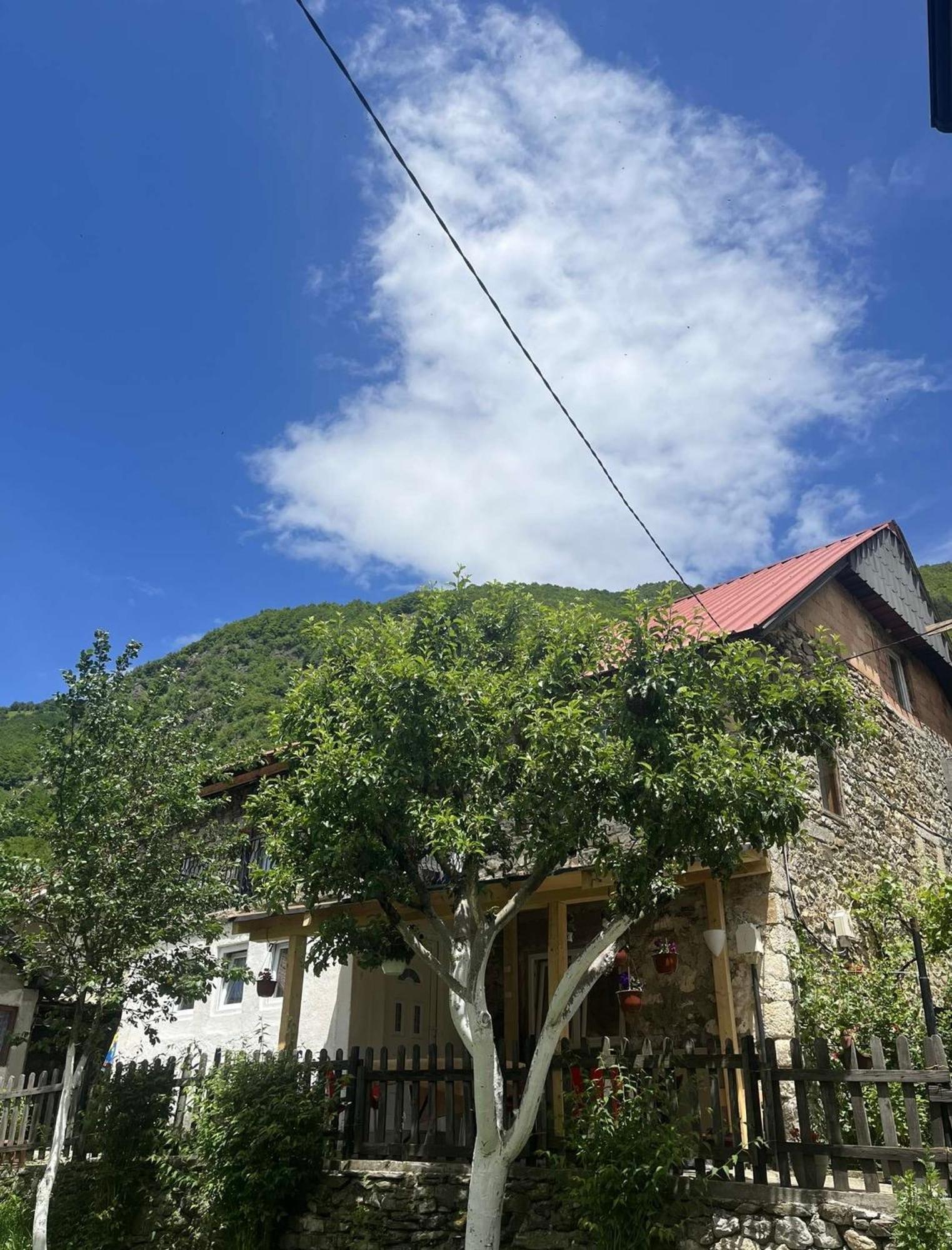 Guest House Guri Vusanje Bagian luar foto
