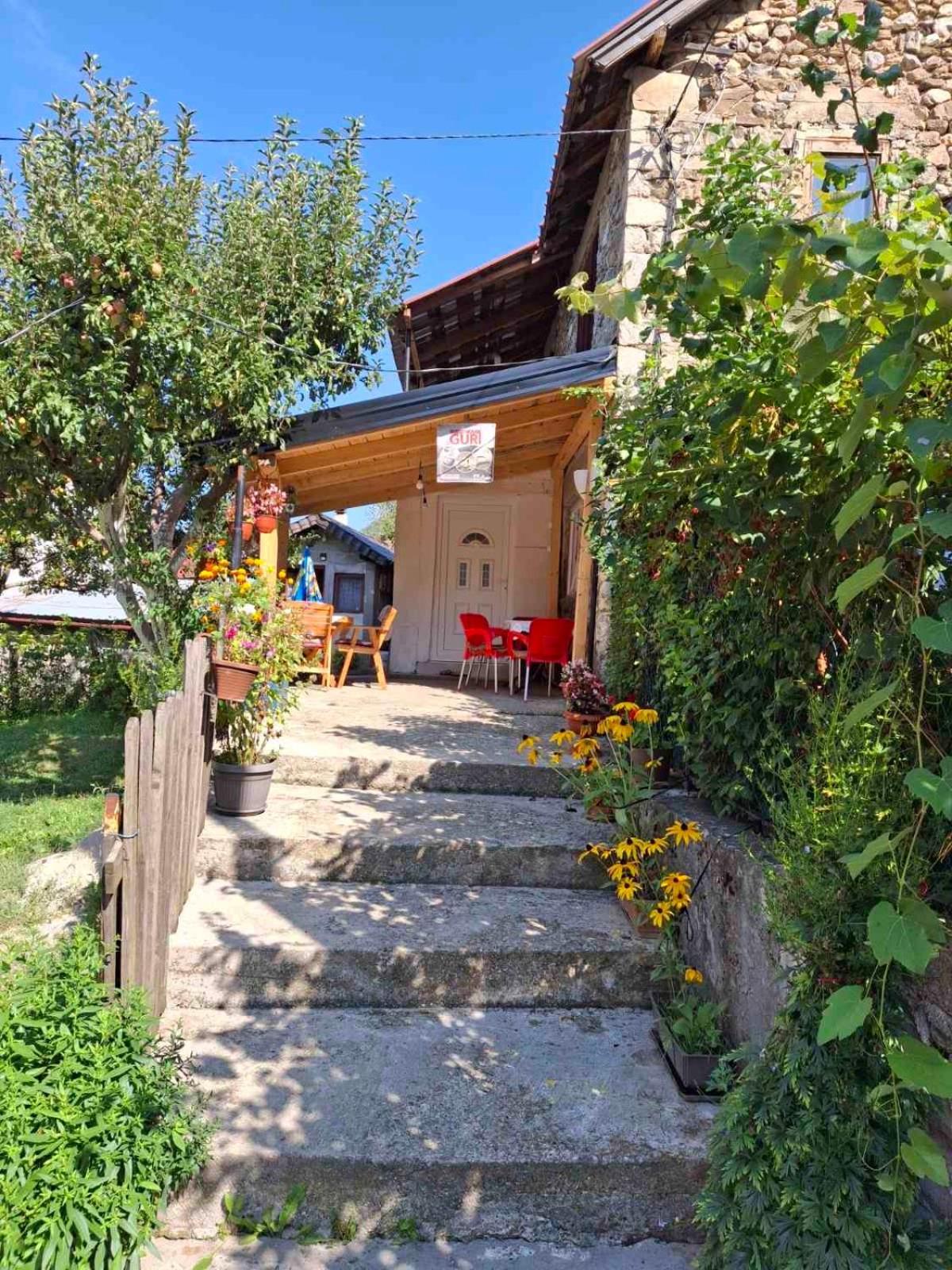 Guest House Guri Vusanje Bagian luar foto
